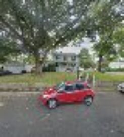 Cherry Blossom Plumbing
